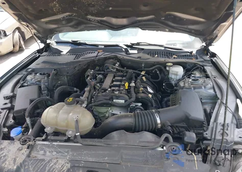 2021 Ford Mustang Ecoboost Fastback z USA, uszkodzony, nr VIN 1FA6P8TH0M5113922